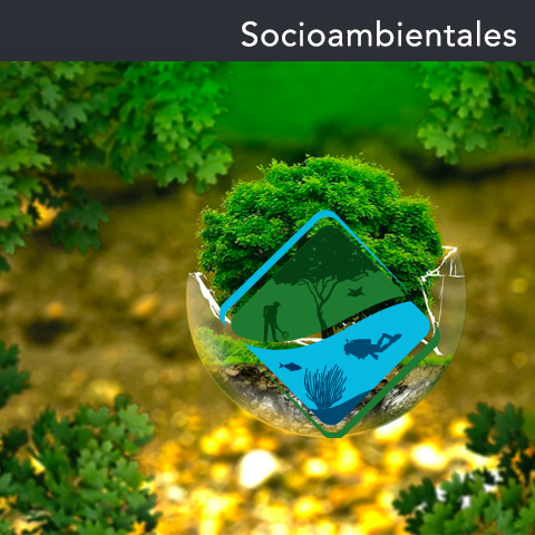 Socioambientales