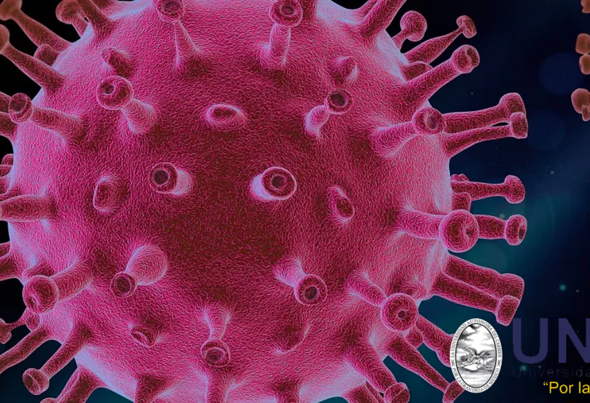 Los sistemas de información en apoyo a la continuidad académica y administrativa durante la pandemia por COVID-19